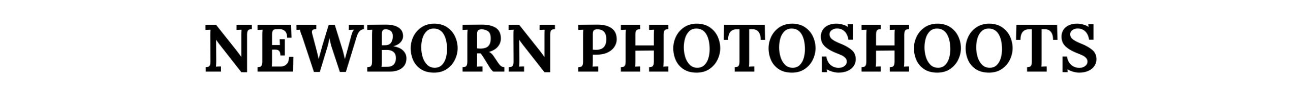 spot_img