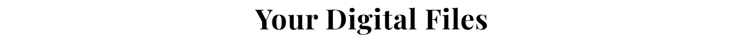 spot_img